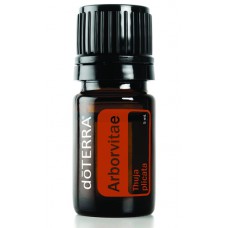 Arborvitae 100% Pure Oil -  5 ml