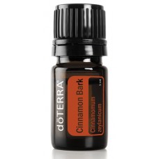 Cinnamon Bark 100% Pure Oil -  5 ml