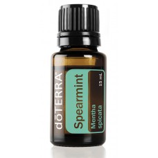 Spearmint 100% Pure Oil -  15 ml